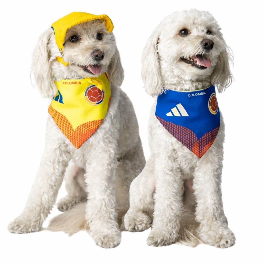 Pañoleta doble faz Selección Colombia 🐶🇨🇴
